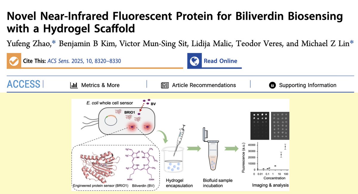 Prof. Michael Lin tweet media