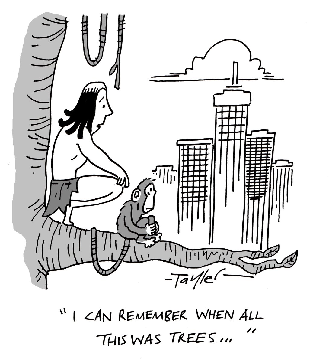 Kent Tayler tweet media