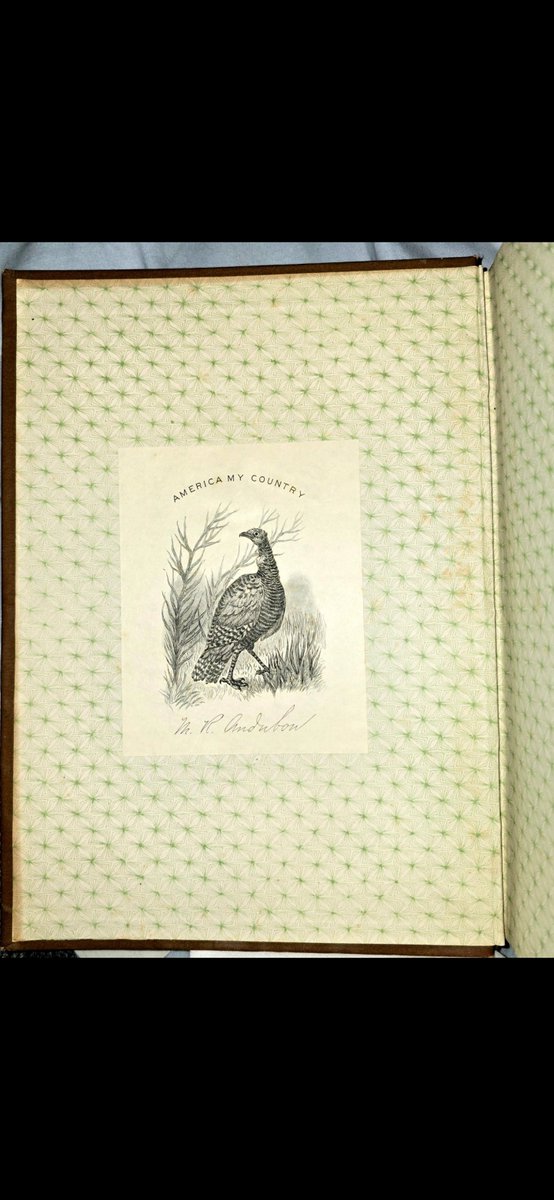 Shakesbrain's tweet photo. The Audubons clearly had a fondness for wild turkeys: Maria Audubon’s (John James Audubon's granddaughter) bookplate, pasted in my copy of Hans Christian Andersen’s Fairy Tales, features one proudly. 

Benjamin Franklin—pro-turkey and anti-eagle snobbery—would have approved. https://t.co/xrbxmE6qaY