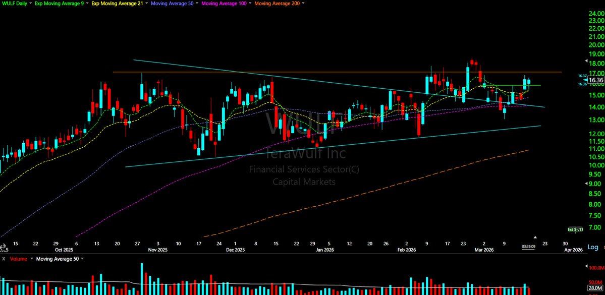 Shack 🇨🇦🏒⚾️ tweet media