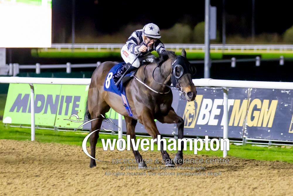 Wolverhampton Races tweet media