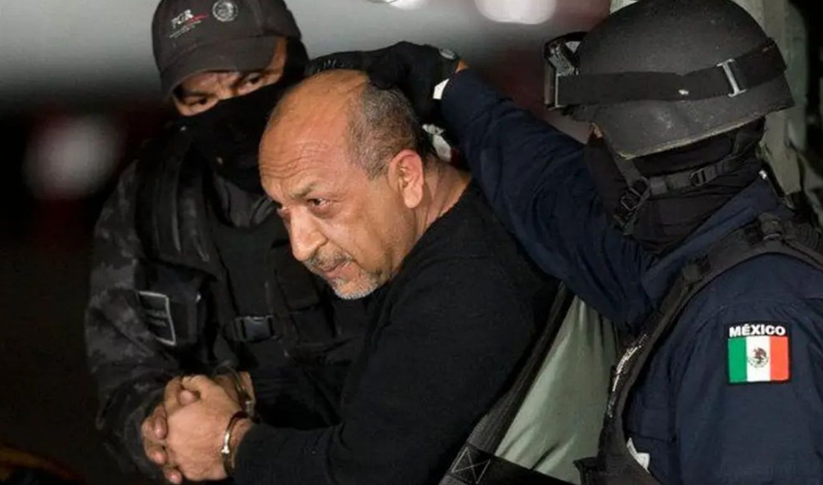 Eco_1_LVM tweet media