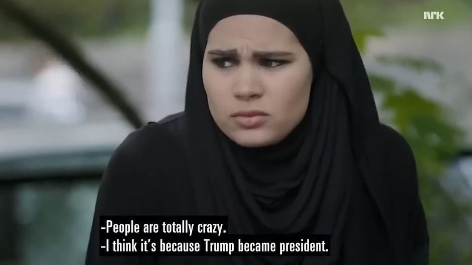 skamverse tweet media