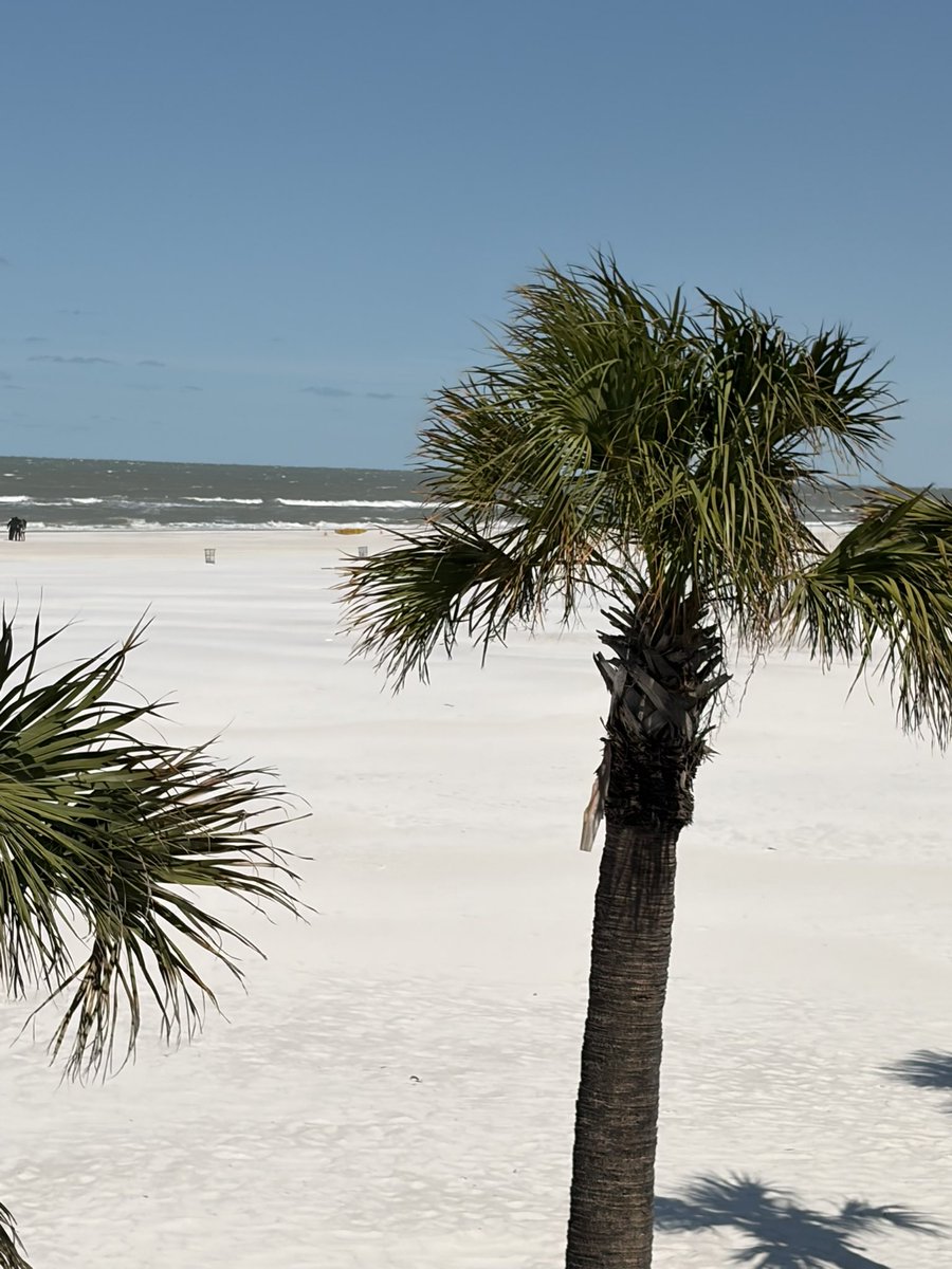 MiggyCavalier🌺SMP tweet media