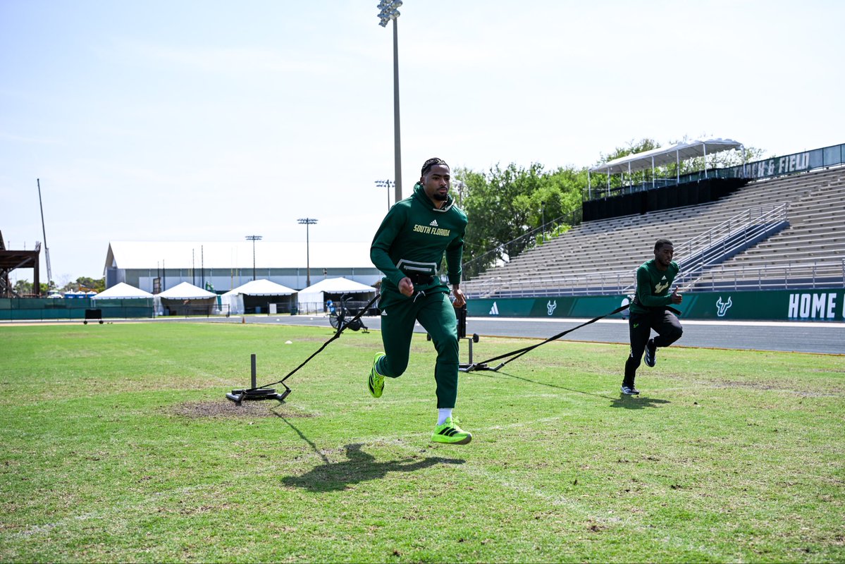 USF XCTF tweet media