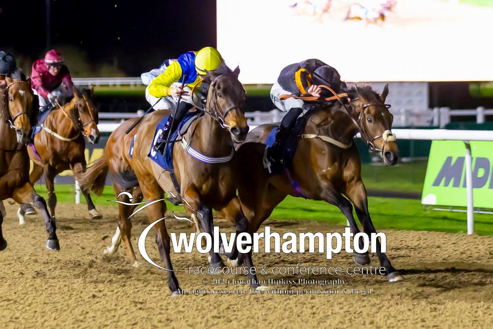 Wolverhampton Races tweet media
