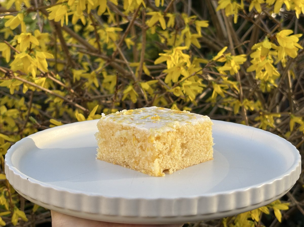 sunny ⭒ tweet media