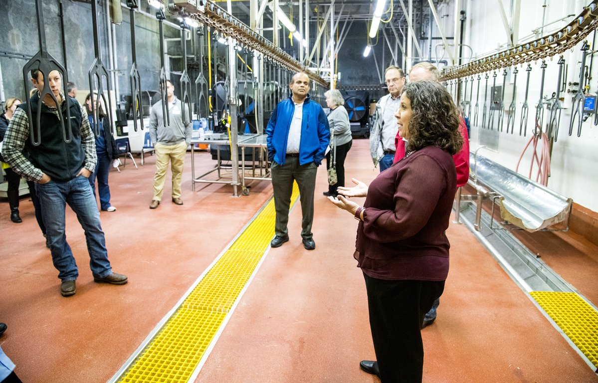 Arkansas Agricultural Experiment Station tweet media