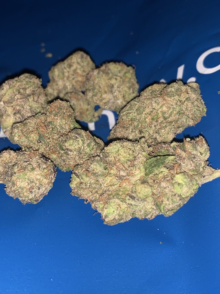 Tyler 🤘😖🤘 tweet media