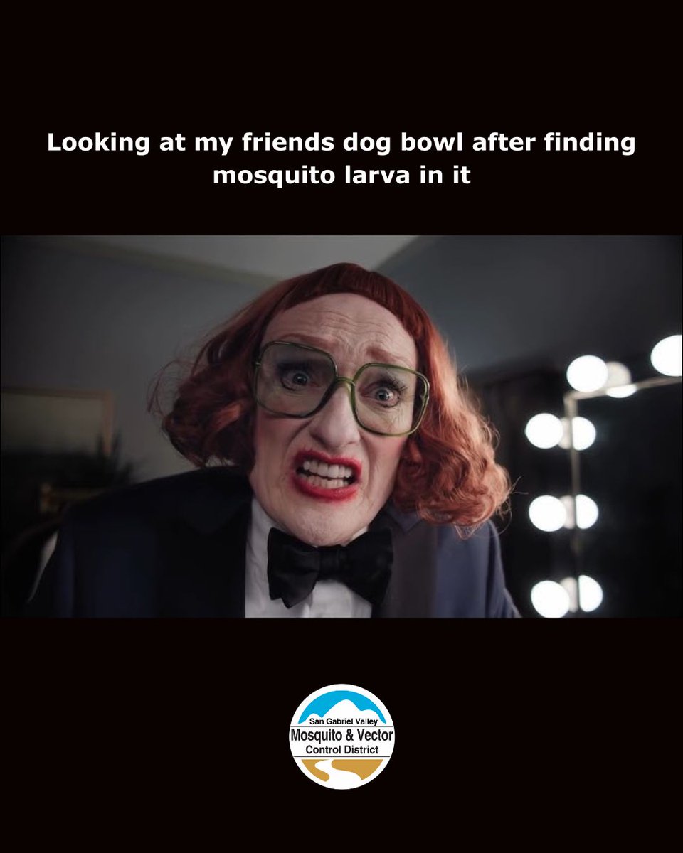 SGVmosquito🦟 tweet media