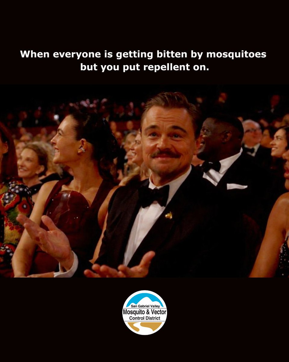 SGVmosquito🦟 tweet media