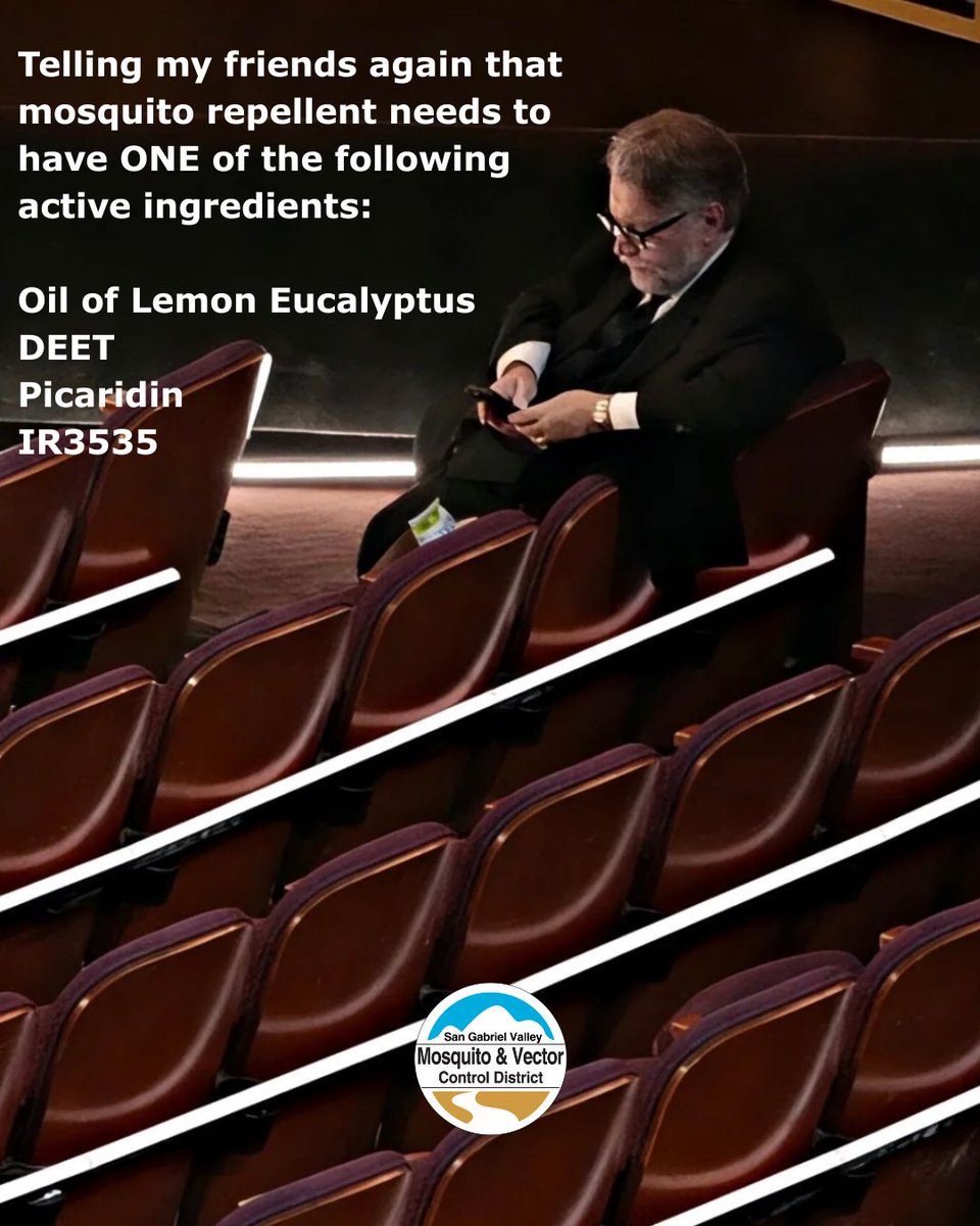 SGVmosquito🦟 tweet media