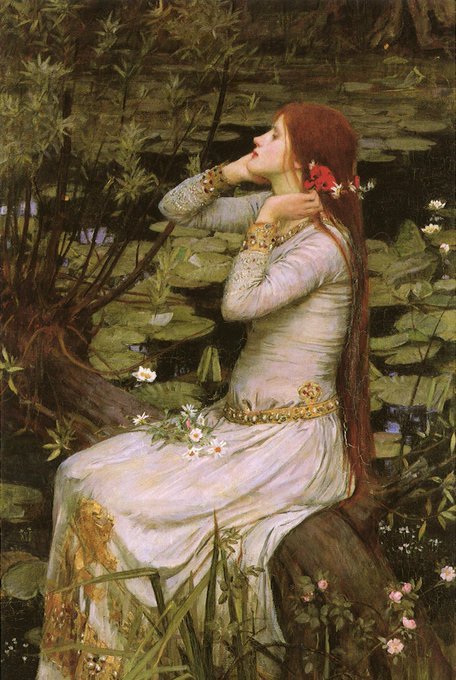 Severus Chud tweet media