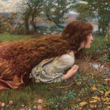 Severus Chud tweet media