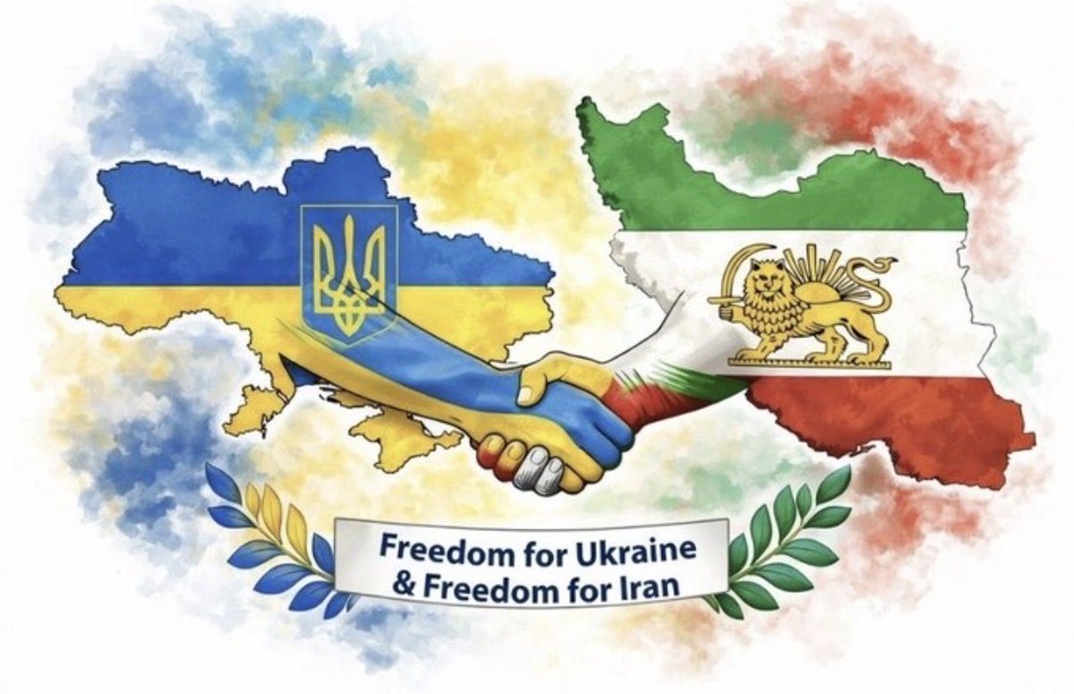 Shahab N tweet media