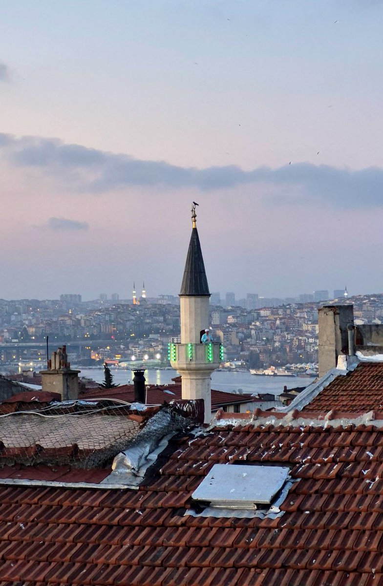 İstanbul Camileri tweet media