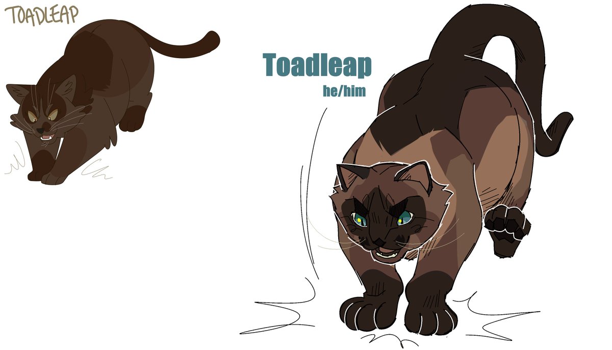 ๐ PROJECTSHADOW๐ tweet media