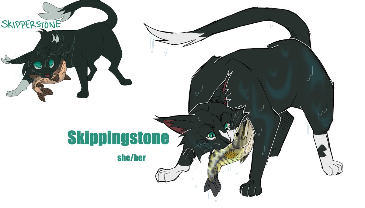 🌠PROJECTSHADOW🌠 tweet media