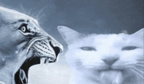 Zilus In The Cemetery 🪦| COMMS REOPENED tweet media