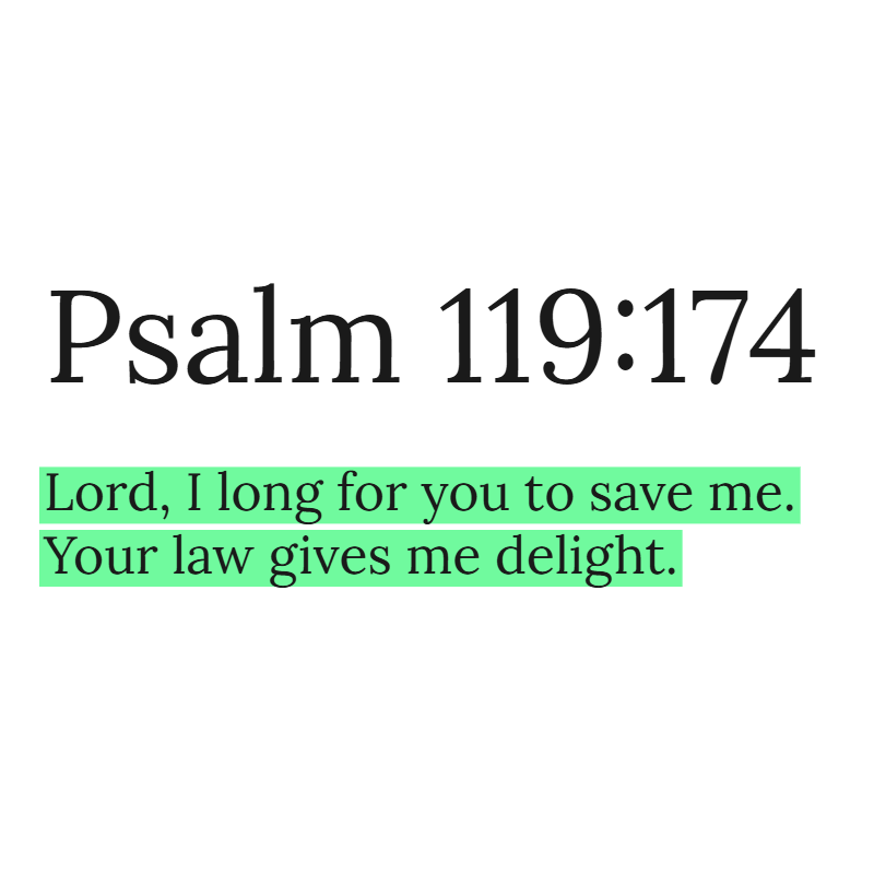 Holy Bible tweet media