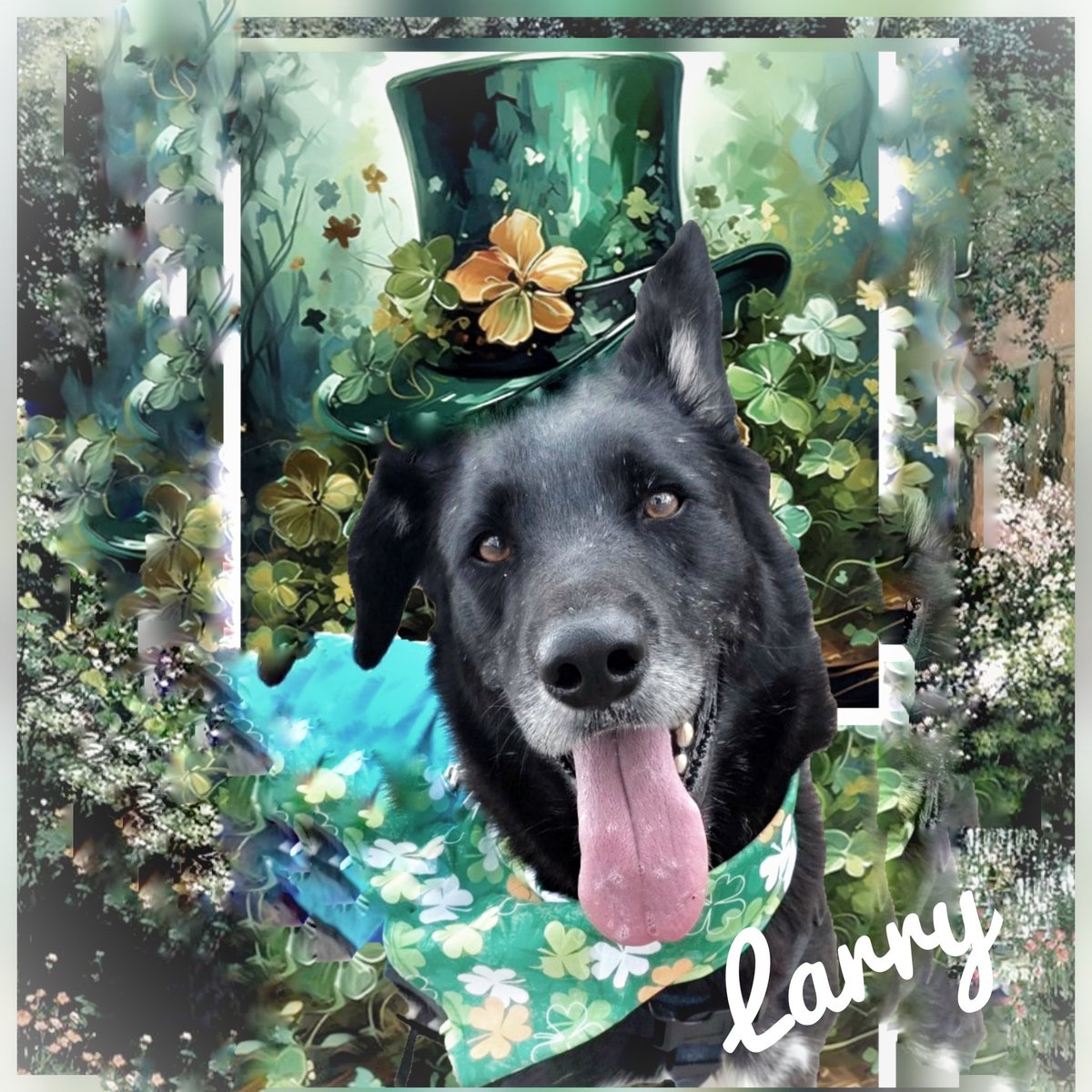 Pamela Roth tweet media