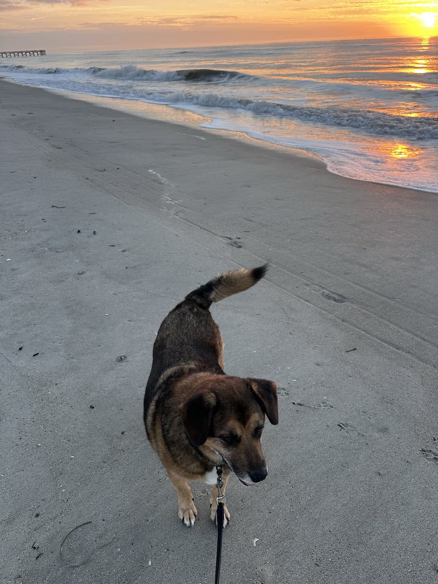 eqstrin's tweet photo. anyways the week before he died I had a menty B and drove us to the beach. i’m so glad we went https://t.co/Bh2uKSKgHR