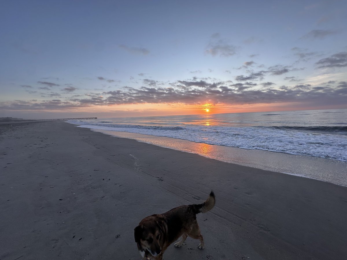 eqstrin's tweet photo. anyways the week before he died I had a menty B and drove us to the beach. i’m so glad we went https://t.co/Bh2uKSKgHR