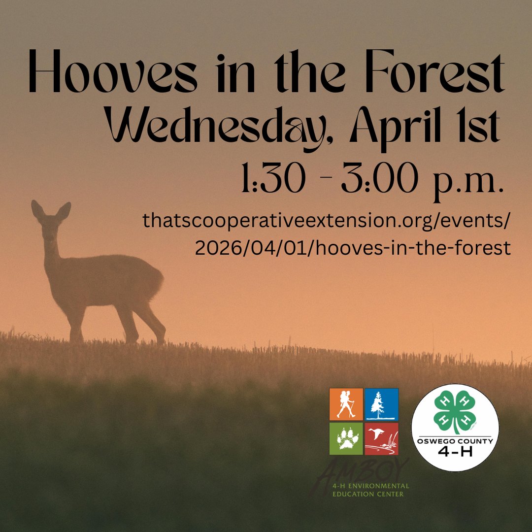 CCE Oswego tweet media