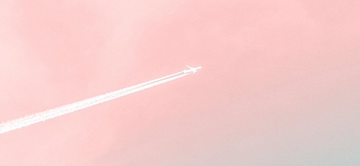 محمد بديري tweet media