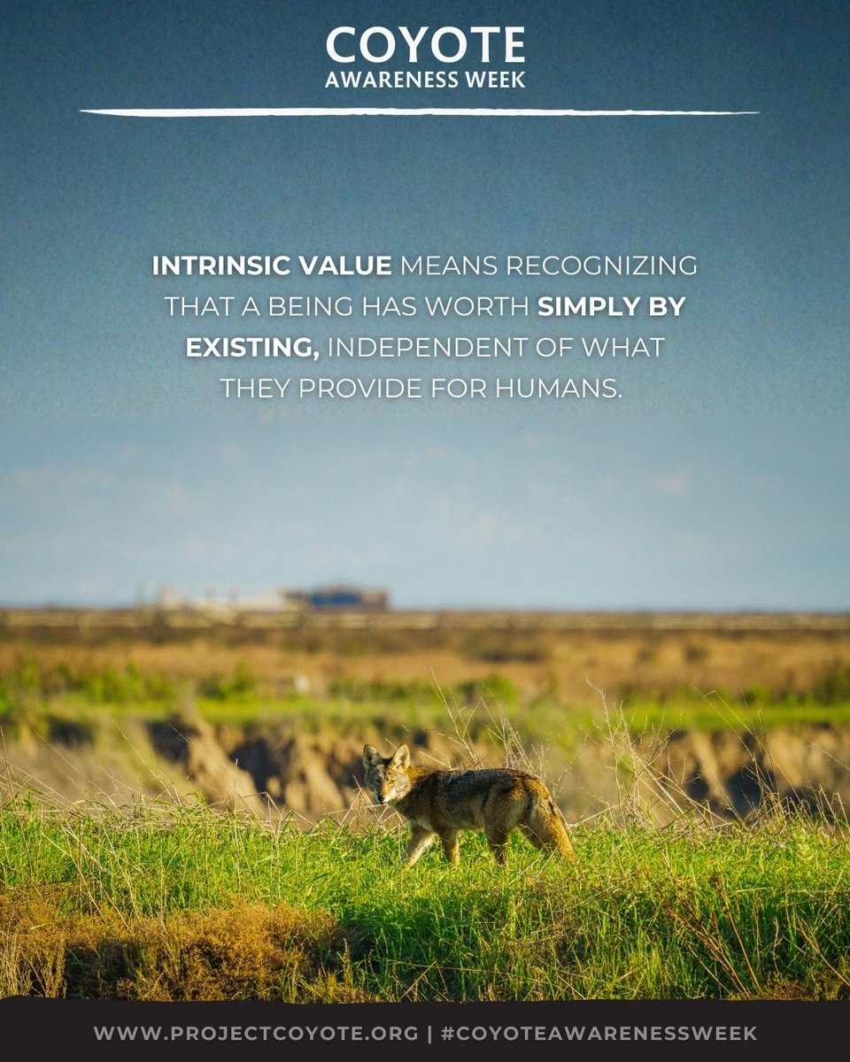 Project Coyote tweet media