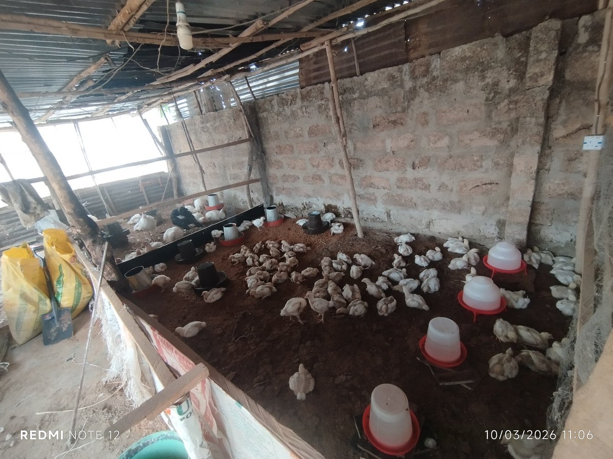 👑Mayor_Of_Ẹdẹ👑💡💡 tweet media