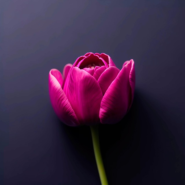 Beth Peterson tweet media