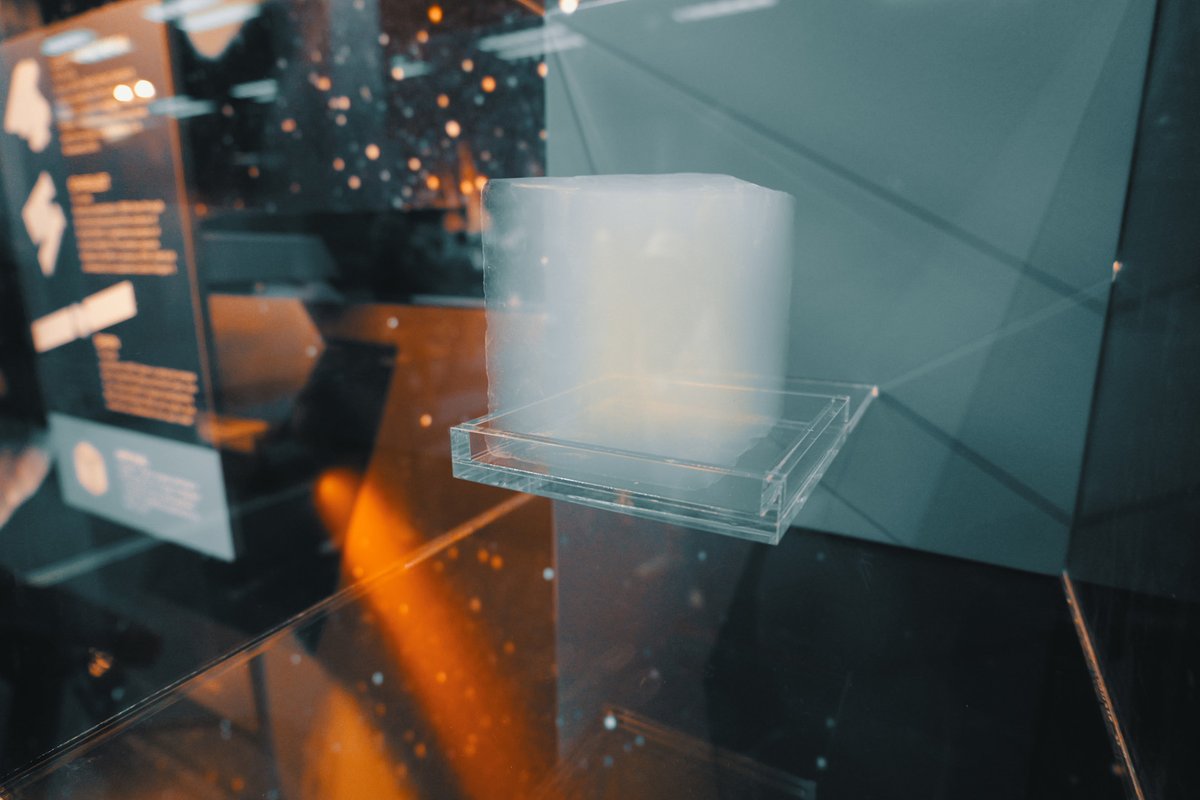 MiddKid Productions tweet media