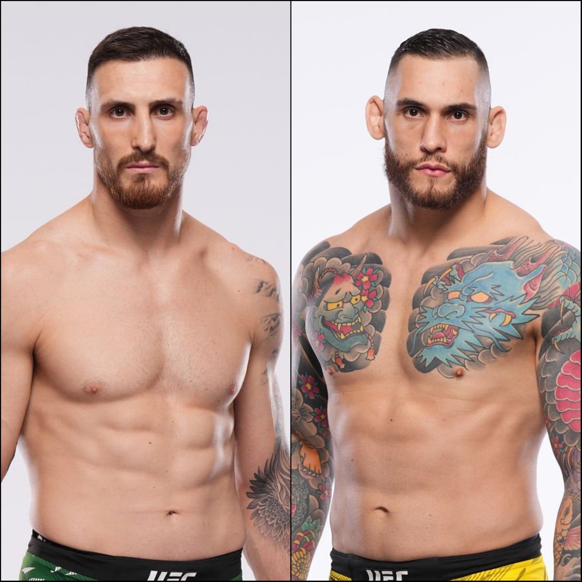 Marcel Dorff 🇳🇱🇮🇩 tweet media