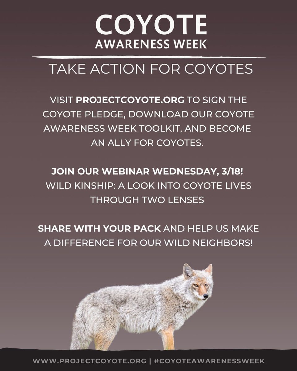 Project Coyote tweet media