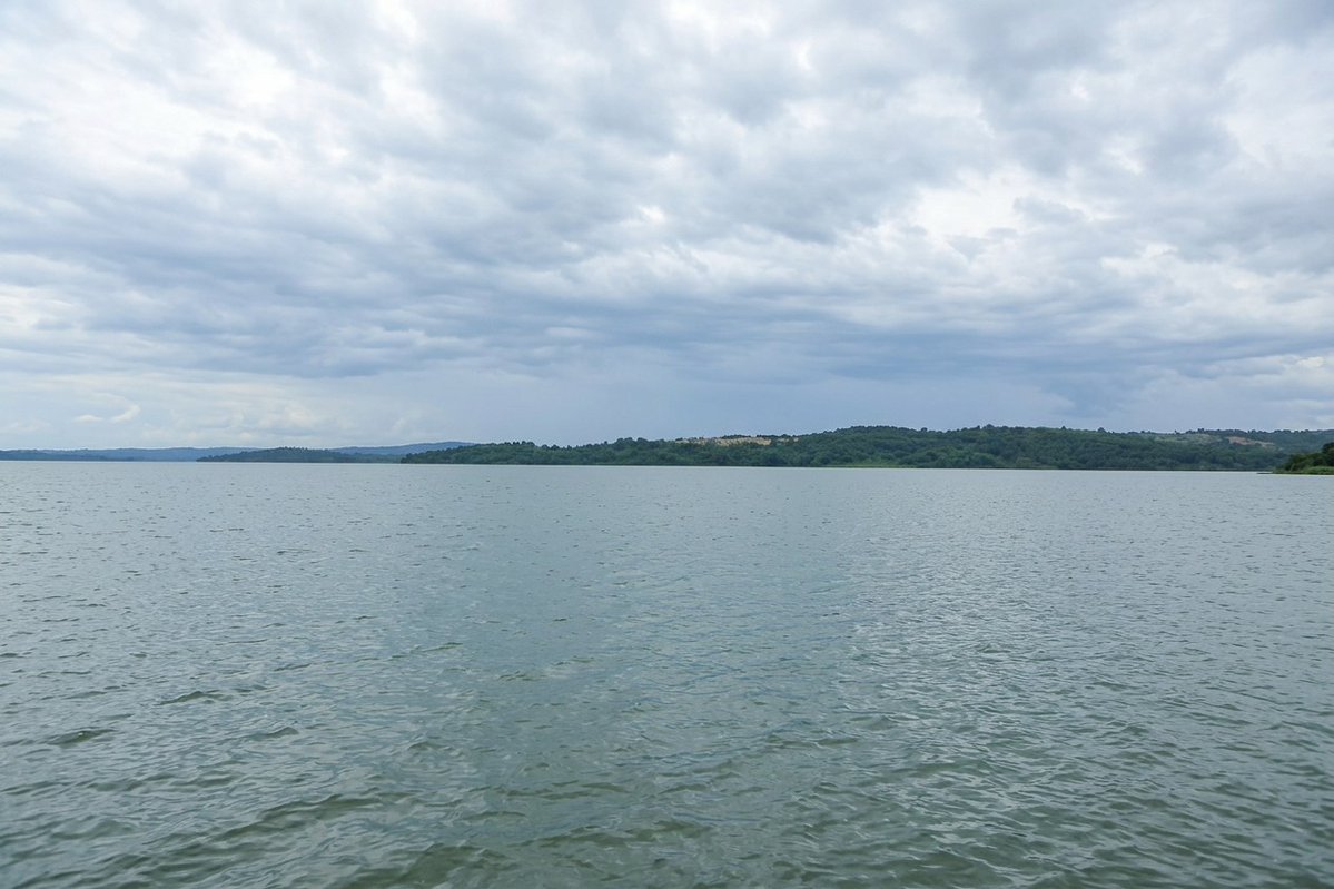 My Test for Grippi tweet media