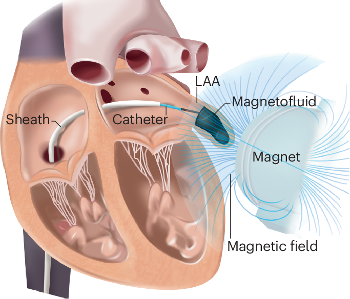 Nature Reviews Cardiology tweet media