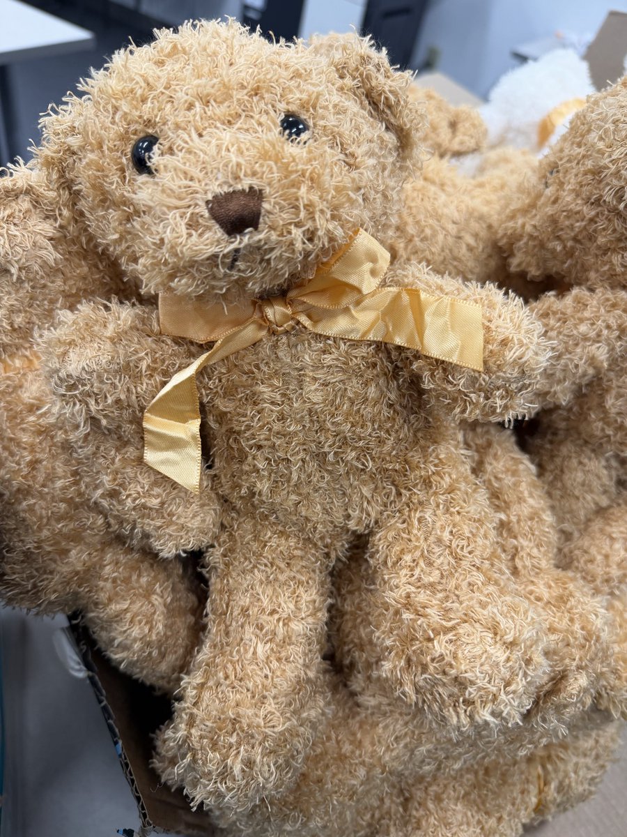 Anthony Wayne Local Schools tweet media