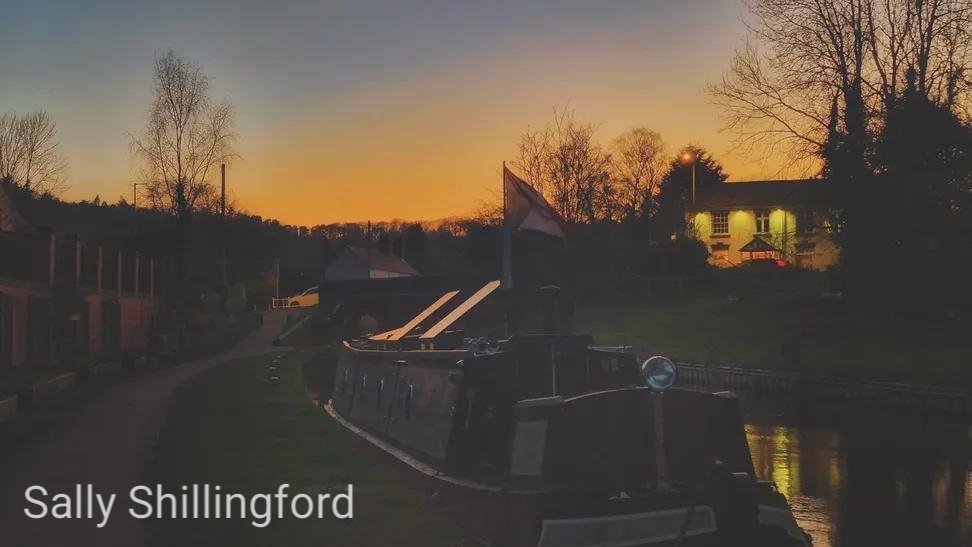 Sunny Sal 🌞 tweet media