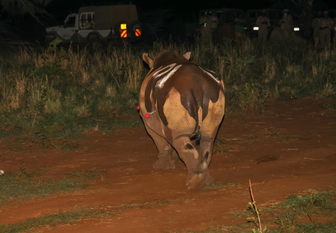 𝒎𝒊𝒕𝒕𝒊 tweet media