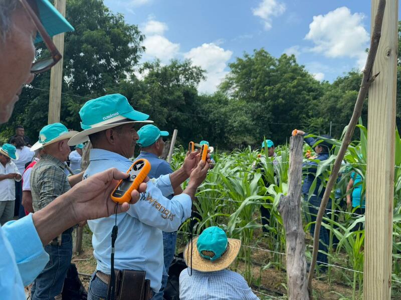 Alianza de Bioversity International y el CIAT tweet media
