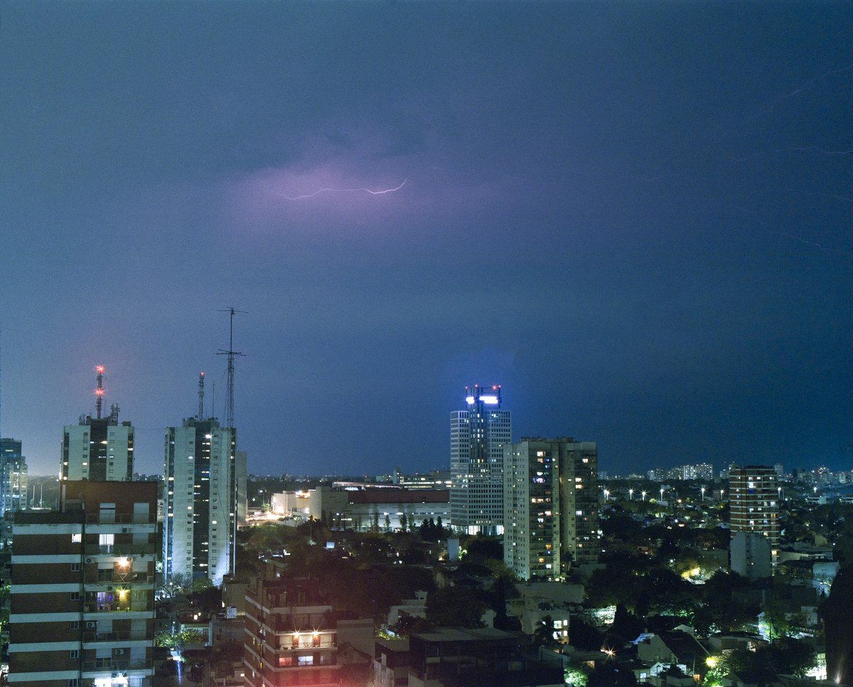 suffer rosa tweet media