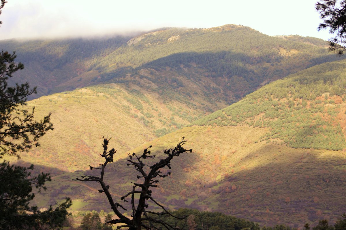 Castilla al natural 🌾 tweet media