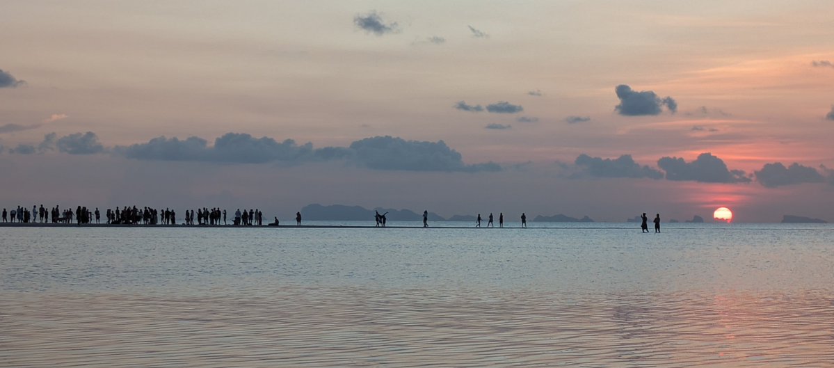 Arnout Jaspers tweet media