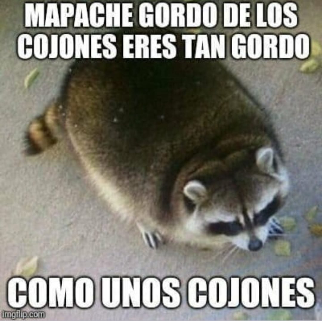 Cursedwind tweet media