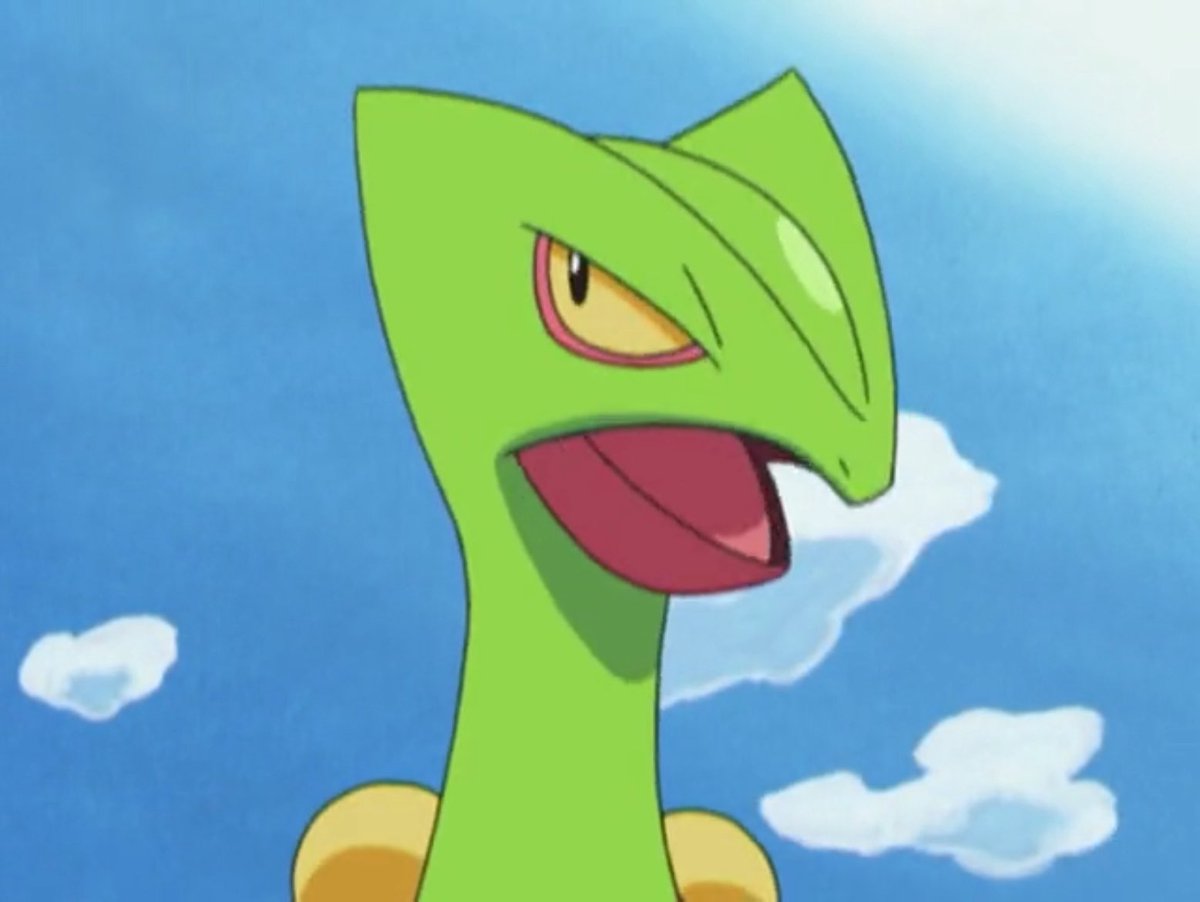 Ash’s Sceptile (ジュカイン) tweet media