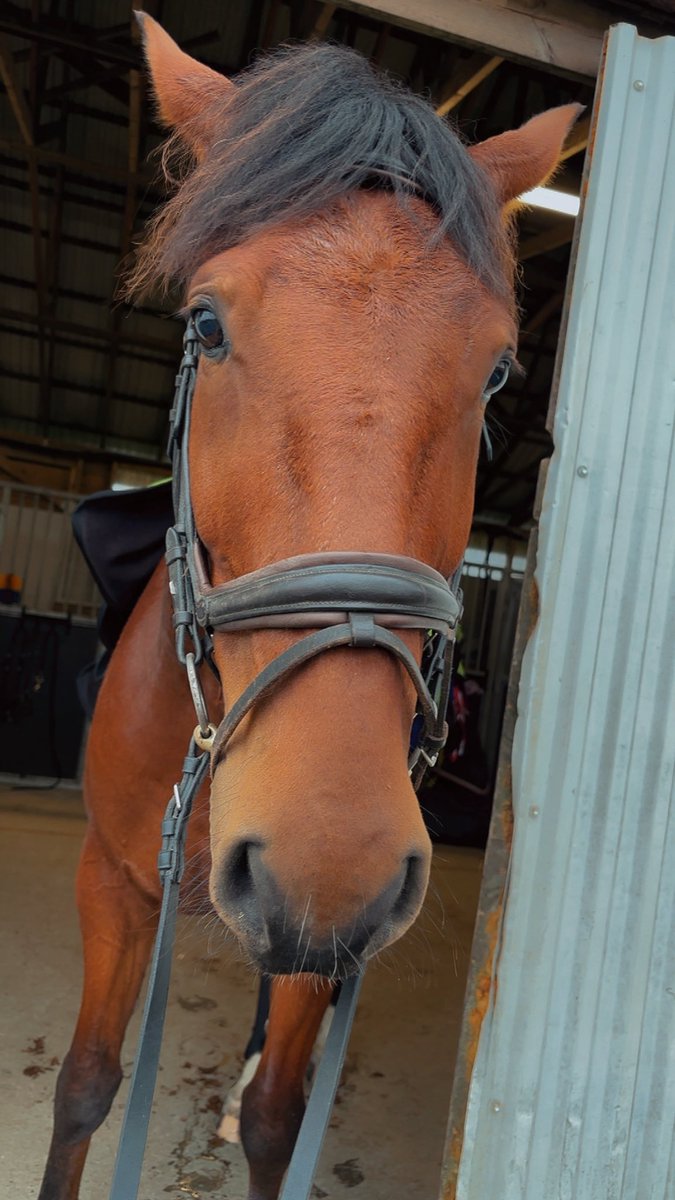 Minawawa 💫 tweet media