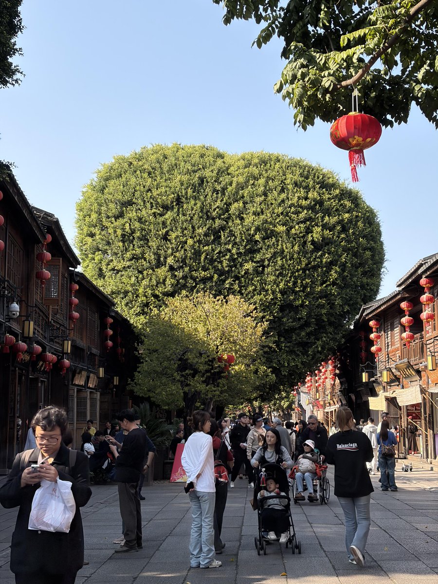 清风拂心弦 tweet media