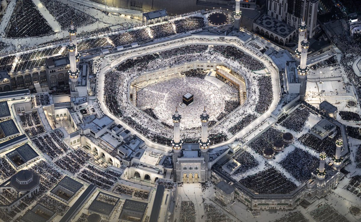 سعد بن صليب العتيبي tweet media