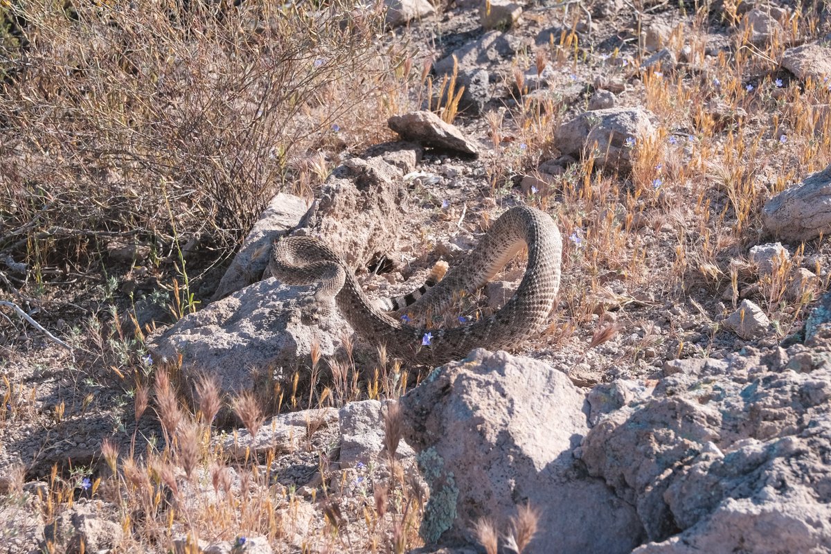 The Naked Desert Photography tweet media